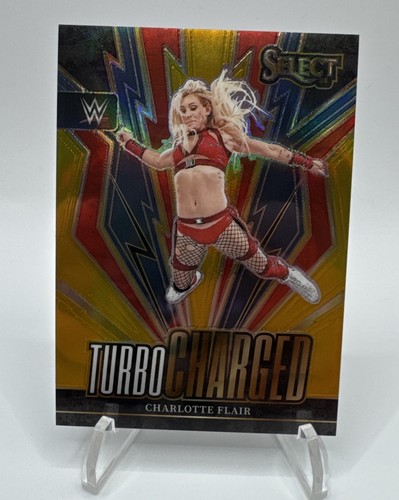 2024 panini select wwe - panini,